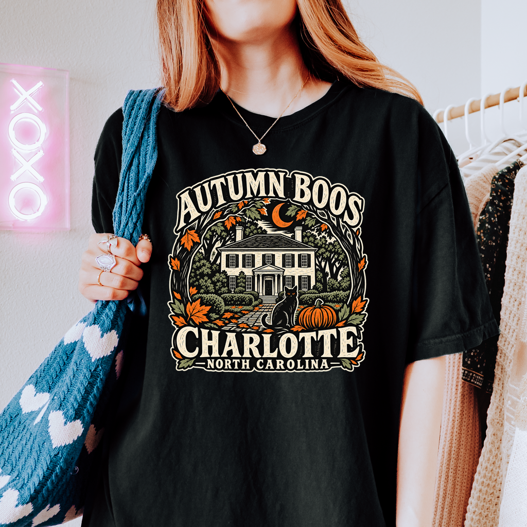 Charlotte Halloween T-Shirt, Historic Rosedale Black Cat and Pumpkin Folk Art, North Carolina Comfort Colors