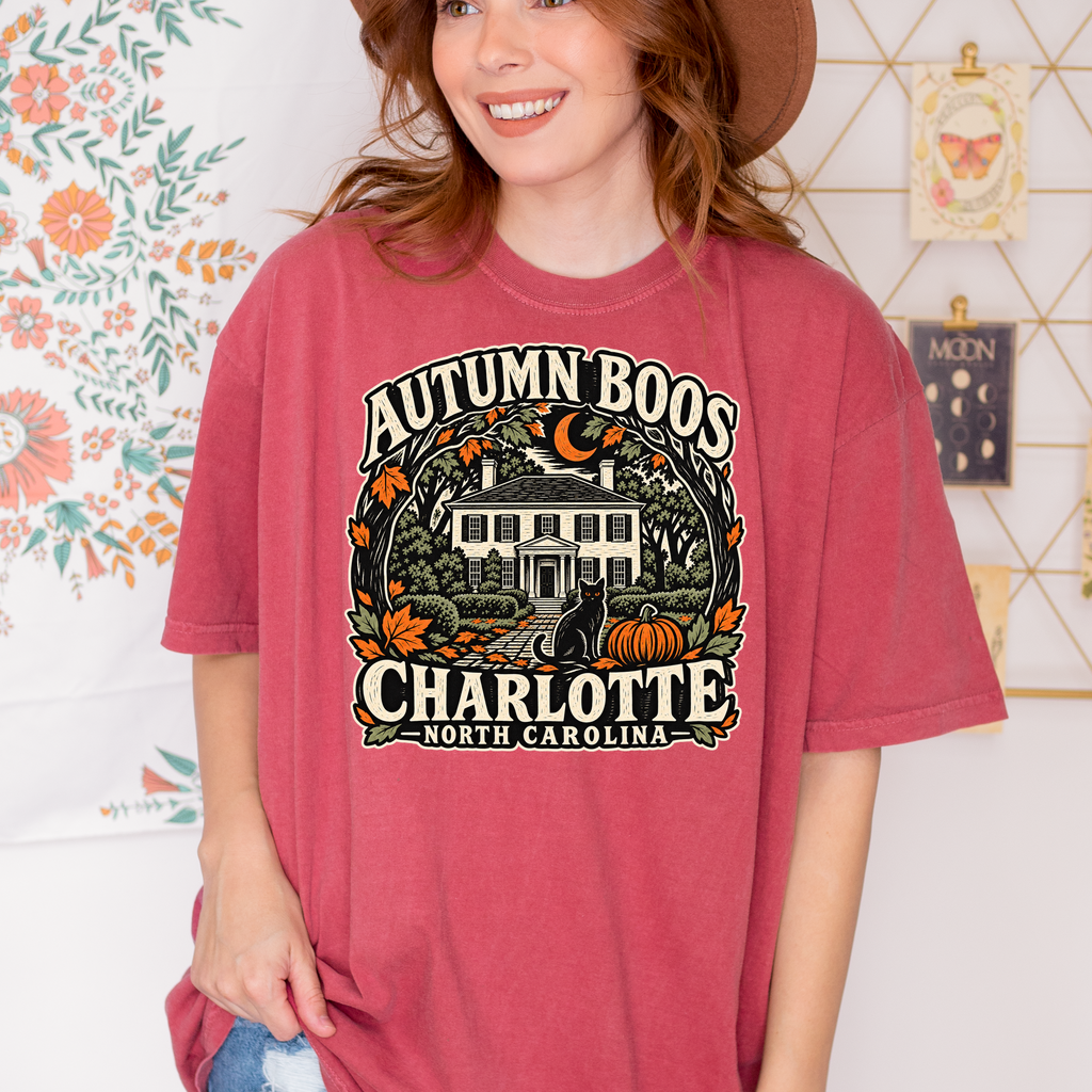 Charlotte Halloween T-Shirt, Historic Rosedale Black Cat and Pumpkin Folk Art, North Carolina Comfort Colors